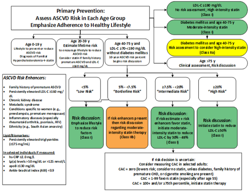 primary prevention