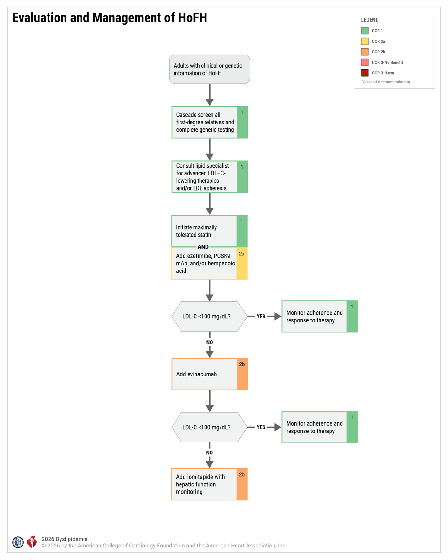 Evaluation and Management of HoFH