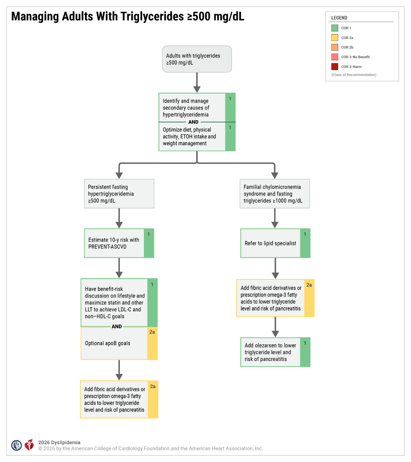 Managing Adults With Triglycerides ≥500 mg/dL