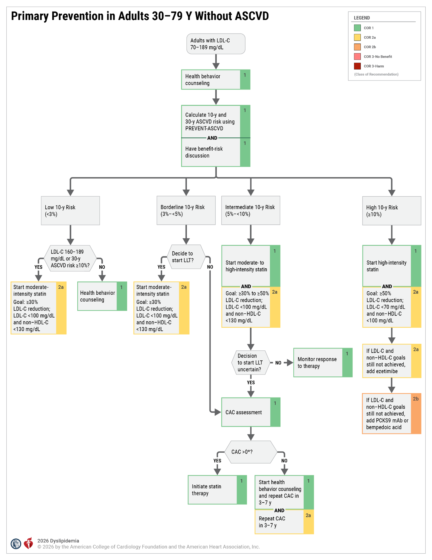 Primary Prevention in Adults 30 to 79 Years Without ASCVD